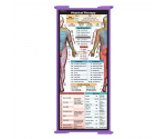 WhiteCoat Clipboard® Trifold - Lilac Physical Therapy Edition